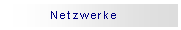 Textfeld: Netzwerke